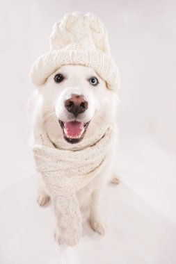 Çoban kap ile beyaz ve eşarp