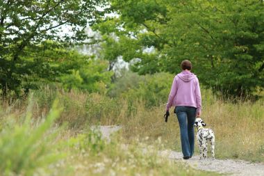 Olgun kadın doğa ortamında bir Dalmaçyalı köpek yürüyüş fr