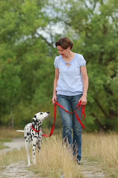 Mulher madura está andando um cão dalmatian em uma trela na natureza en — Fotografia de Stock
