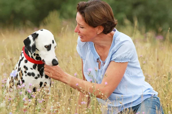 Mulher madura está abraçando um cão dálmata em um prado ao ar livre — Fotografia de Stock