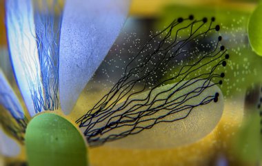 ışıltılı çiçek arka plan