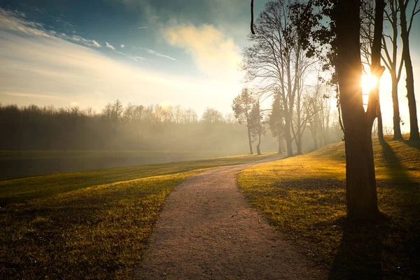 Path beautiful park sunrays — Stock Photo, Image