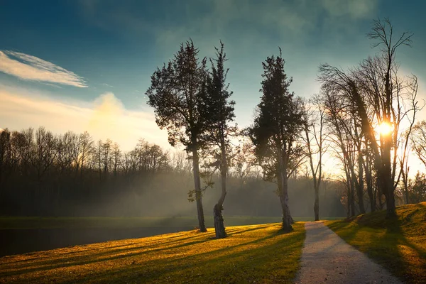 Geweldige ochtend lichten herfst park — Stockfoto