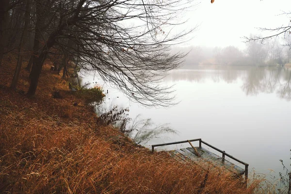 Piren på vintern lake — Stockfoto