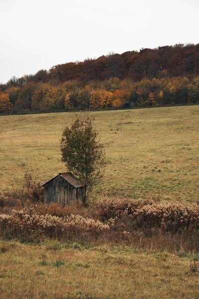 Vanha mökki pellolla — kuvapankkivalokuva