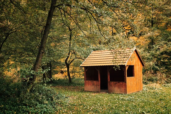 Cabaña de madera abandonada en el bosque — Foto de Stock