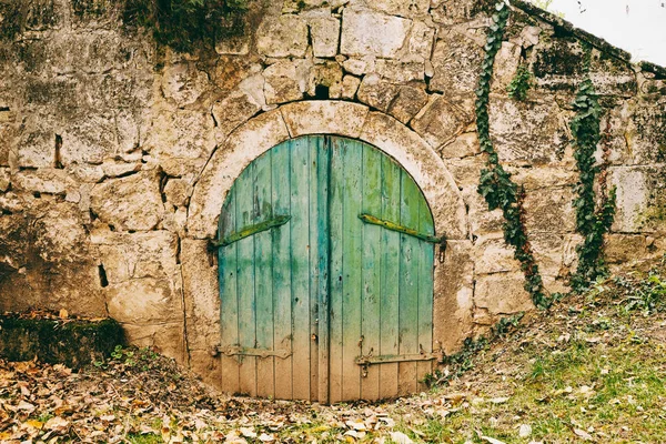 Porta da adega velha em uma fachada de edifício — Fotografia de Stock