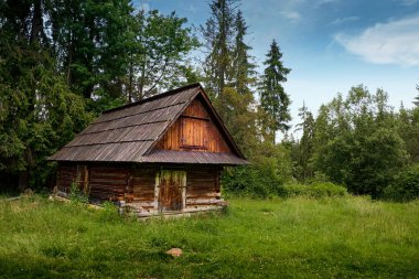 Ormanda eski ahşap kulübe