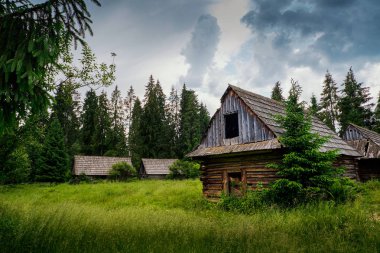 Ormanda eski ahşap kulübe