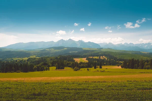 Tatra-Bergpanorama im Sommer — Stockfoto