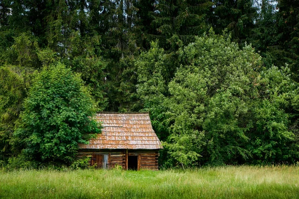 Gammal timmerstuga i skogen — Stockfoto