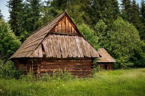 Старая бревенчатая хижина в лесу — стоковое фото