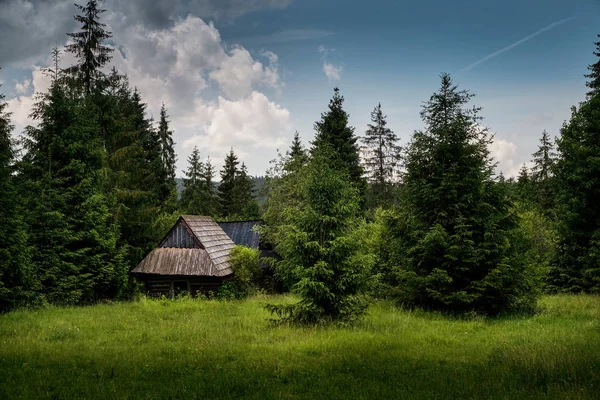 Oude blokhut in het bos — Stockfoto