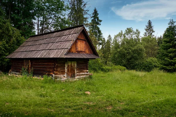 Velha cabana na floresta — Fotografia de Stock
