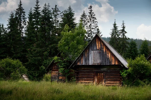森の古い丸太小屋 — ストック写真