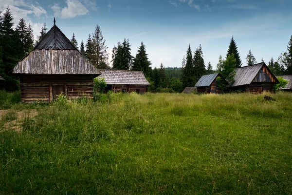 숲 속의 오래 된 통나무집 — 스톡 사진