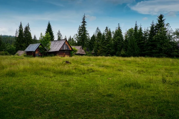 Eski günlük kabin ormanının içinde — Stok fotoğraf