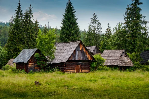 Antigua cabaña de madera en el bosque — Foto de Stock