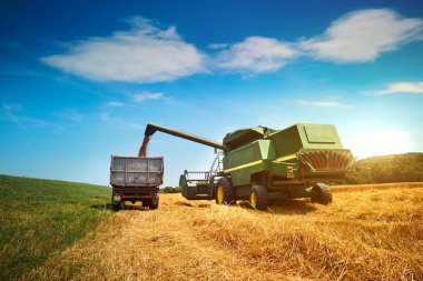 Buğday tarlasını hasat etmek için biçme makinesi