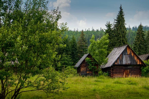 Antigua cabaña de madera en el bosque — Foto de Stock