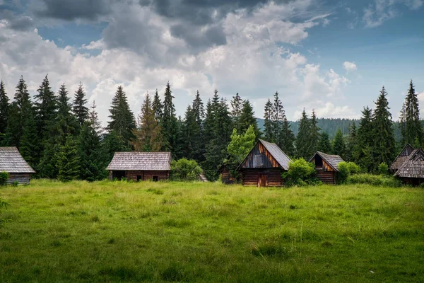 Old log cabin in the fores — Stock Photo, Image