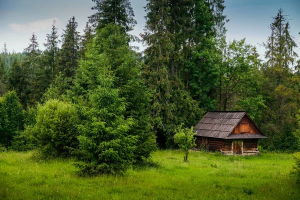 森の古い丸太小屋 — ストック写真