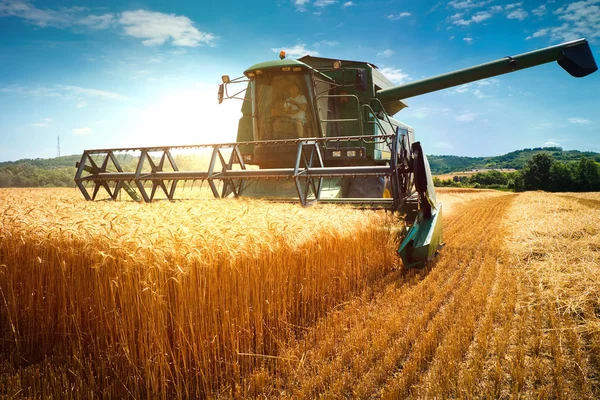 Colheitadeira máquina para colher o trabalho do campo de trigo — Fotografia de Stock