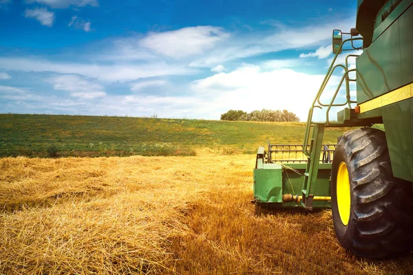 Colheitadeira máquina para colher o trabalho do campo de trigo — Fotografia de Stock