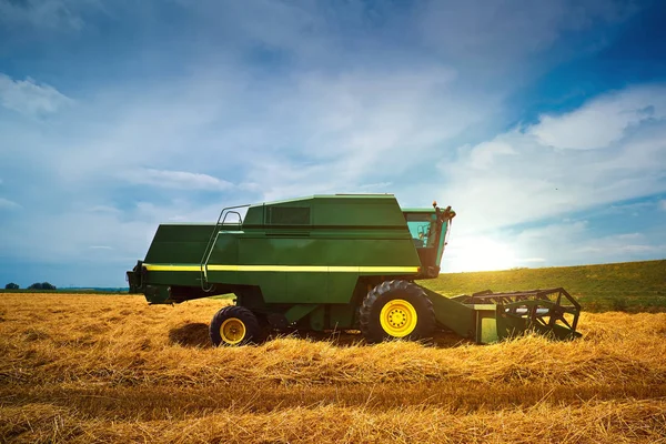 Buğday tarlasını hasat etmek için biçme makinesi