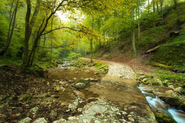 Fließender Bach im Wald mit Pfad — Stockfoto