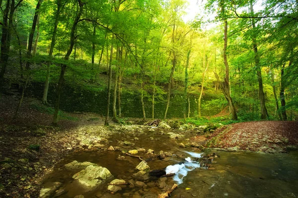 Bach im Herbstwald — Stockfoto