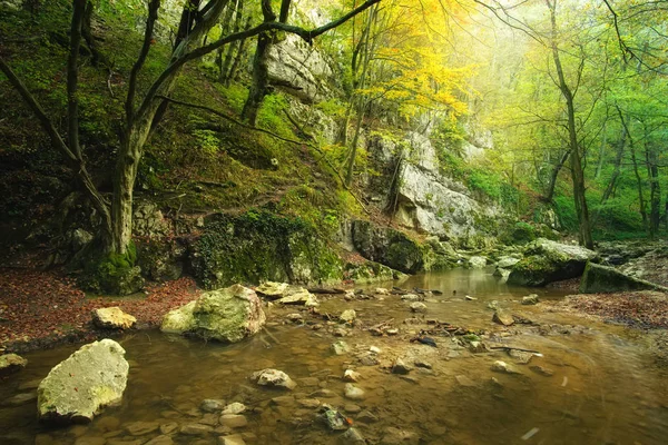 Bach im Herbstwald — Stockfoto