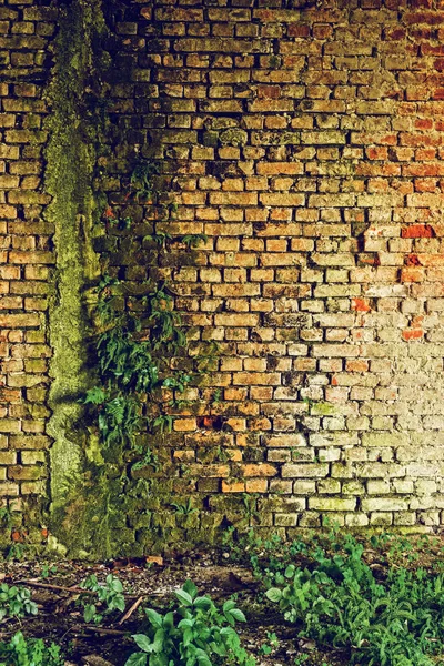 Eski tuğla duvar uygunluğunu — Stok fotoğraf