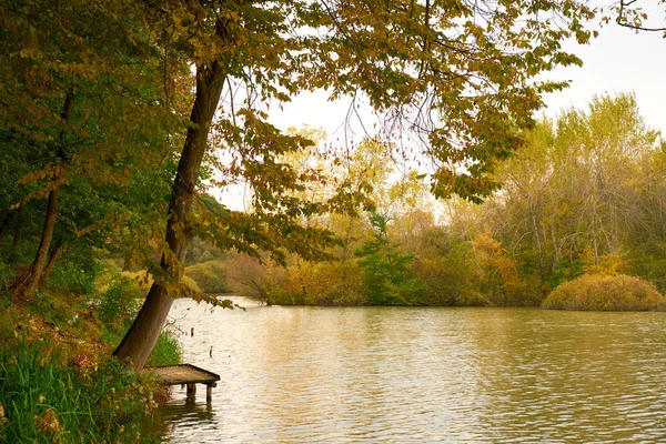 Autumn lake landscape — Stock Photo, Image