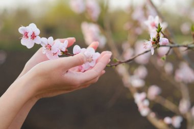 Kadın elinde ağaç çiçeği