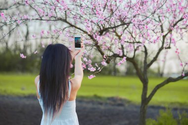 Cep telefonu ile fotoğraf ağaç çiçekleri alarak kadın