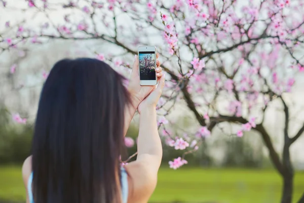 Woman taking photo tree blossoms with mobile phone — Stock Photo, Image