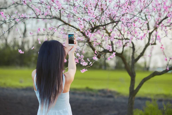 Woman taking photo tree blossoms with mobile phone — Stock Photo, Image