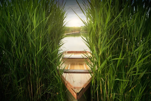 Гребной катер на озере — стоковое фото