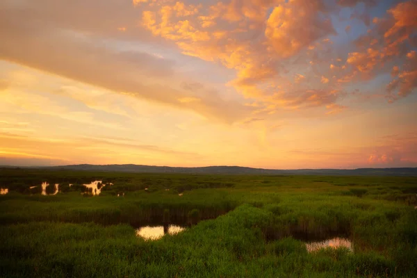 Swamp sunset vacker himmel — Stockfoto