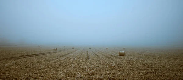 Bele słomy na polu zima — Zdjęcie stockowe