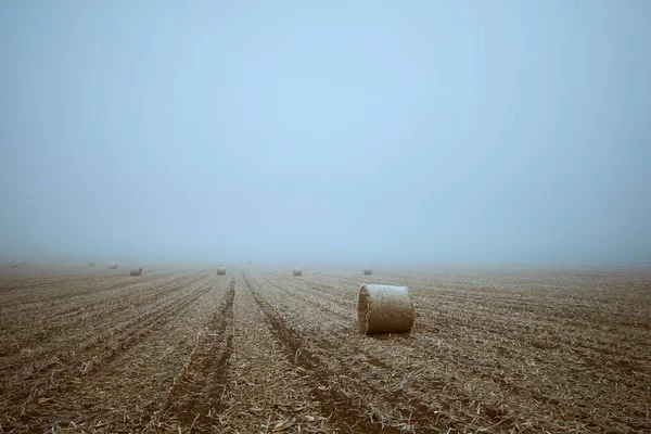 Straw bales on winter field — Stock Photo, Image