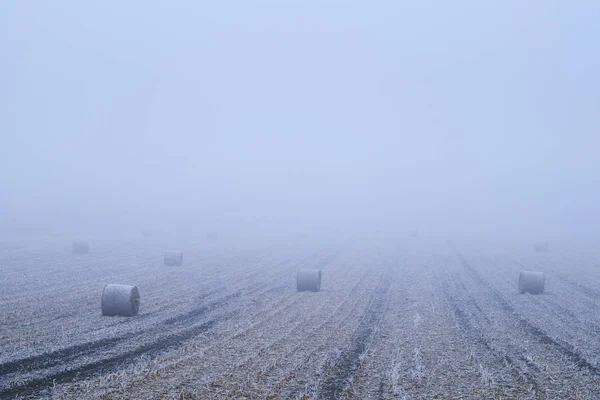 在冬天的旷野上的稻草 — 图库照片