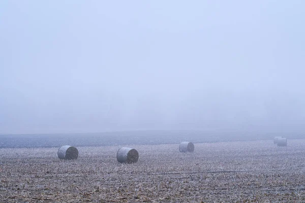 Pacas de paja en el campo de invierno — Foto de Stock