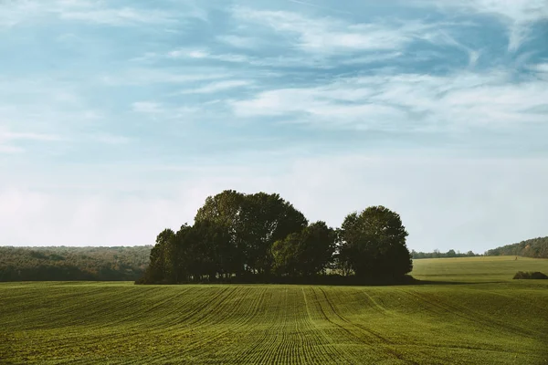 Krajina zemědělská pole — Stock fotografie