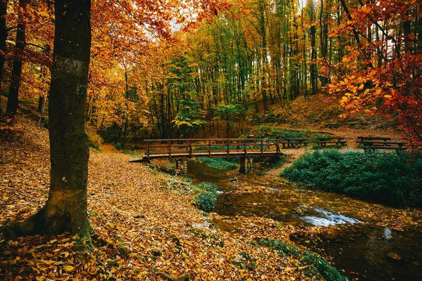 Puente sobre el arroyo en el bosque de otoño —  Fotos de Stock