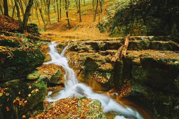 Herbstströmung — Stockfoto