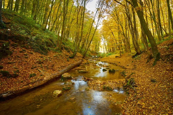 Herbstströmung — Stockfoto