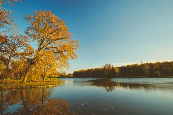 Herfst meer in park — Stockfoto