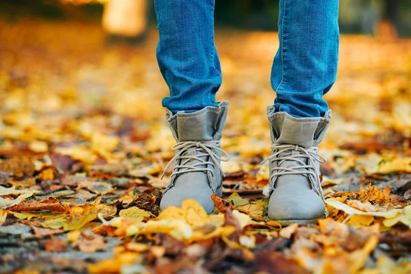 Woman shoes autumn fashion — Stock Photo, Image